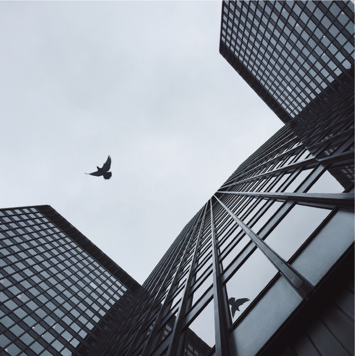 Unlocking Cost Savings with Blue Ridge Commercial Lighting Control Systems